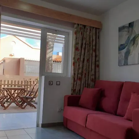 Apartment Oasis 2